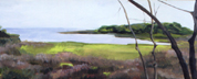 Ocracoke Marsh No. 1